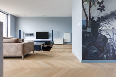 Hongaarse punt in een moderne living